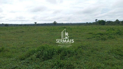 Fazenda-Sítio-Chácara, 85 hectares - Foto 3