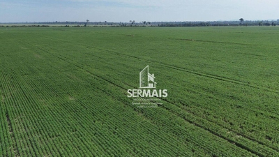 Fazenda-Sítio-Chácara, 305 hectares - Foto 4