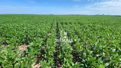 Fazenda-Sítio-Chácara, 305 hectares - Foto 1