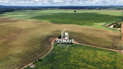 Fazenda-Sítio-Chácara, 968 hectares - Foto 4