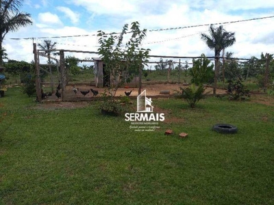 Chácara, 2 hectares - Foto 2