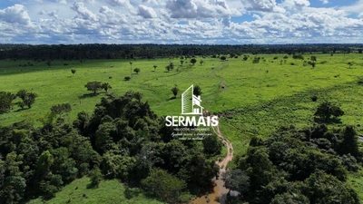 Fazenda-Sítio-Chácara, 76 hectares - Foto 4