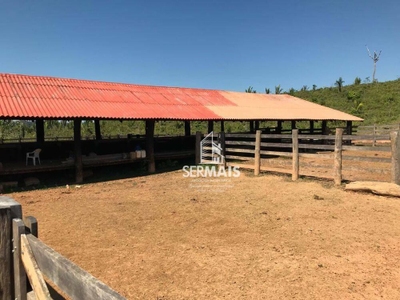 Fazenda-Sítio-Chácara, 600 hectares - Foto 4