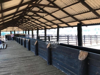 Fazenda-Sítio-Chácara, 600 hectares - Foto 3