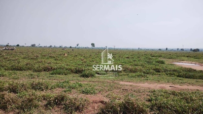 Fazenda-Sítio-Chácara, 363 hectares - Foto 2