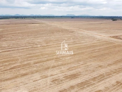 Fazenda-Sítio-Chácara, 290 hectares - Foto 1