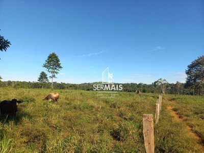Fazenda-Sítio-Chácara, 38 hectares - Foto 2