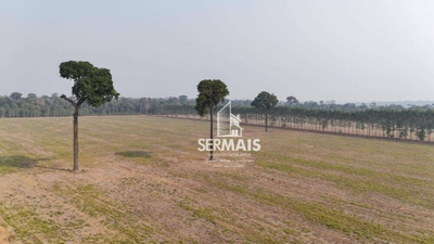 Fazenda-Sítio-Chácara, 1600 hectares - Foto 2