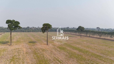 Fazenda-Sítio-Chácara, 1600 hectares - Foto 3