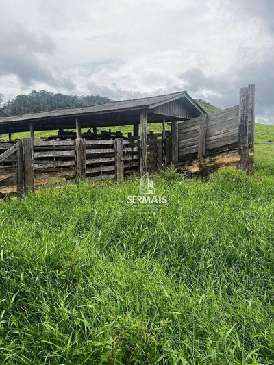 Fazenda-Sítio-Chácara, 545 hectares - Foto 1