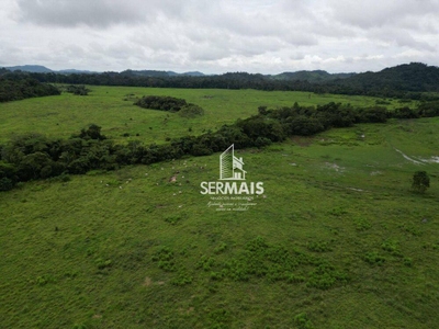 Fazenda-Sítio-Chácara, 545 hectares - Foto 2