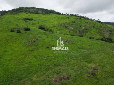 Fazenda-Sítio-Chácara, 545 hectares - Foto 3