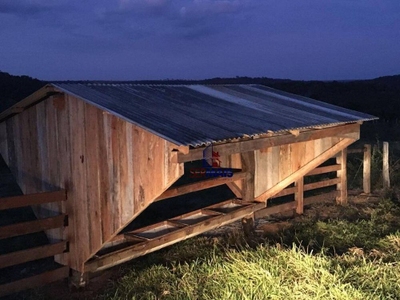 Fazenda, 721 hectares - Foto 5