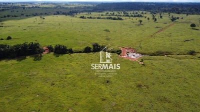 Fazenda, 800 hectares - Foto 5