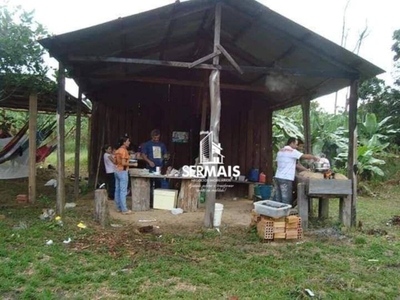 Chácara, 4 hectares - Foto 2