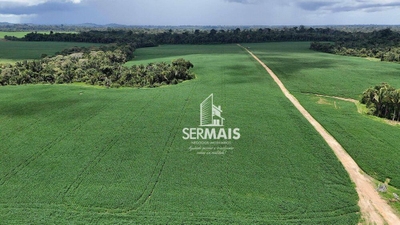 Fazenda-Sítio-Chácara, 1361 hectares - Foto 2