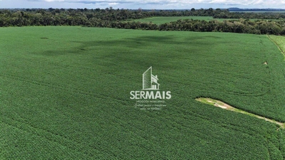 Fazenda-Sítio-Chácara, 1361 hectares - Foto 4