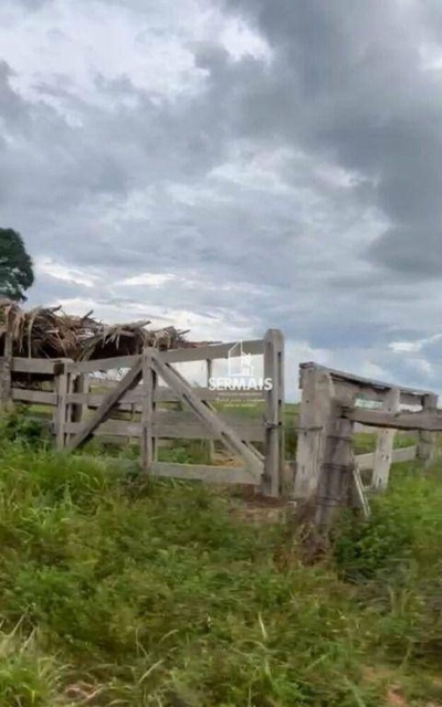 Sítio, 50 hectares - Foto 3