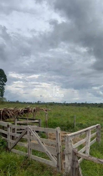 Sítio, 50 hectares - Foto 5