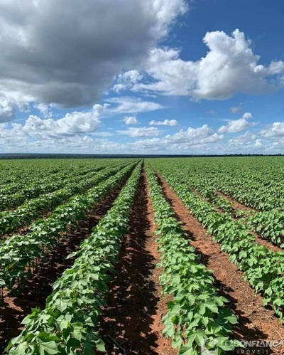 Fazenda-Sítio-Chácara - Foto 3