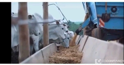 Fazenda-Sítio-Chácara - Foto 1