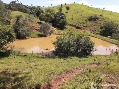 Fazenda-Sítio-Chácara - Foto 1