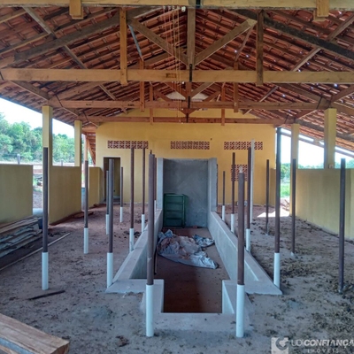 Fazenda-Sítio-Chácara - Foto 4