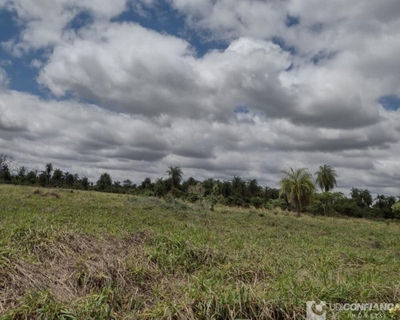 Fazenda-Sítio-Chácara, 700 m² - Foto 3