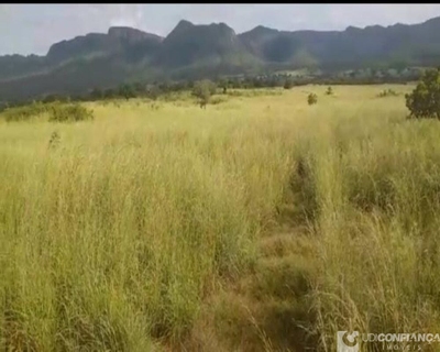 Fazenda-Sítio-Chácara, 2725 m² - Foto 4