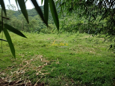 Sítio, 3 quartos, 20 hectares - Foto 2