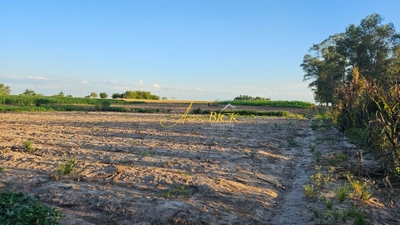 Fazenda-Sítio-Chácara, 6 m² - Foto 4