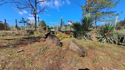 Fazenda-Sítio-Chácara, 5848 m² - Foto 1