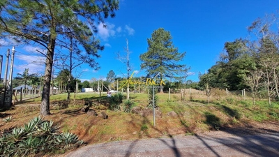 Fazenda-Sítio-Chácara, 5848 m² - Foto 2