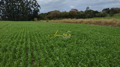 Fazenda-Sítio-Chácara, 9 hectares - Foto 1