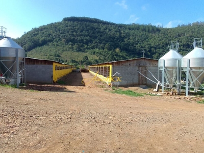Fazenda-Sítio-Chácara, 20 hectares - Foto 2