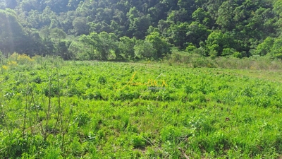 Sítio, 2 quartos, 14 hectares - Foto 1