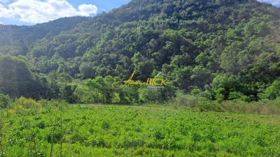 Sítio, 2 quartos, 14 hectares - Foto 4
