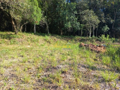 Terreno, 420 m² - Foto 4