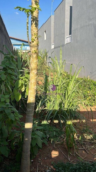 Terreno, 150 m² - Foto 2