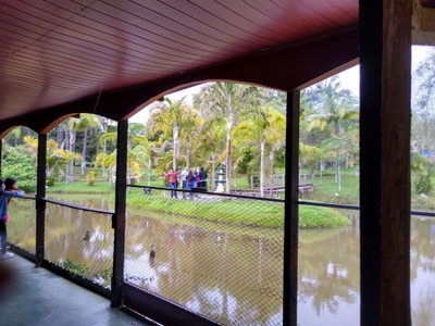 Sítio, 2 quartos, 5 hectares - Foto 5