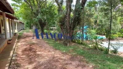 Terreno, 25 hectares - Foto 2