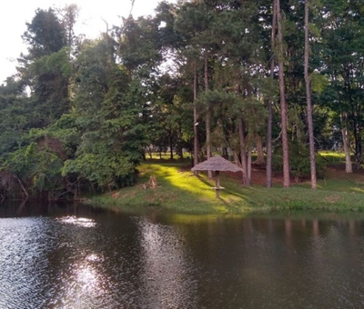 Casa, 3 quartos, 455 m² - Foto 4