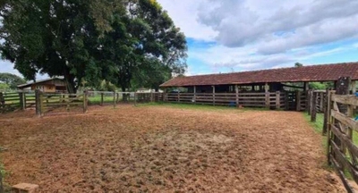 Fazenda-Sítio-Chácara, 726 m² - Foto 4