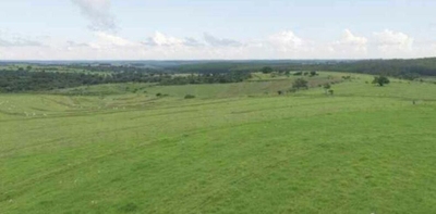 Fazenda-Sítio-Chácara, 726 m² - Foto 5