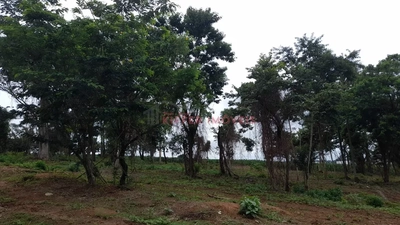 Terreno, 1900 m² - Foto 2