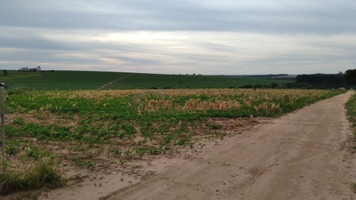 Fazenda-Sítio-Chácara, 2484 m² - Foto 2