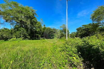 Terreno, 4020 m² - Foto 3