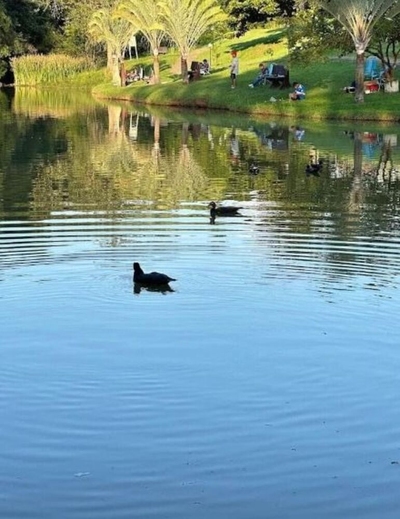 Terreno, 246 m² - Foto 4