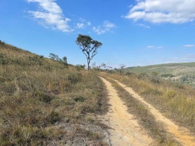 Fazenda, 56 hectares - Foto 3