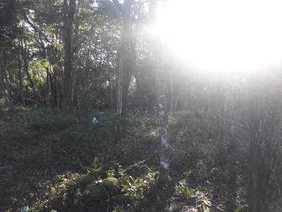 Terreno, 1000 m² - Foto 2